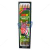 Camlin BIColour Pencils 12 Shades by StatMo.in