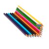 Camlin Colour Pencils 12 Shades by StatMo.in