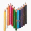 Camlin Colour Pencils Half Size 12 Shades by StatMo.in