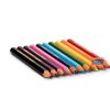 Camlin Colour Pencils Half Size 10 Shades by StatMo.in