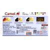 Camlin Oil Pastels 12 Shades by StatMo.in