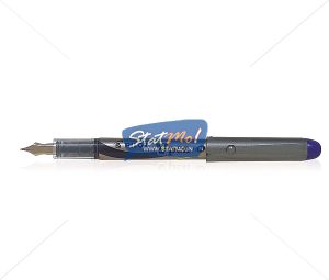 Pilot Vpen Fountain Pen by StatMo.in