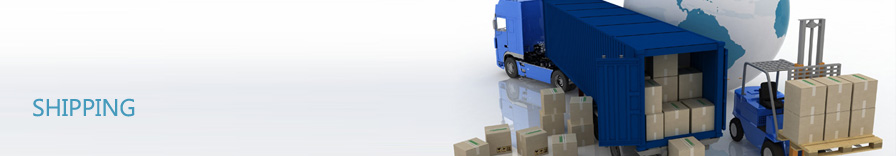 Shipping Policy implemented by StatMo.in