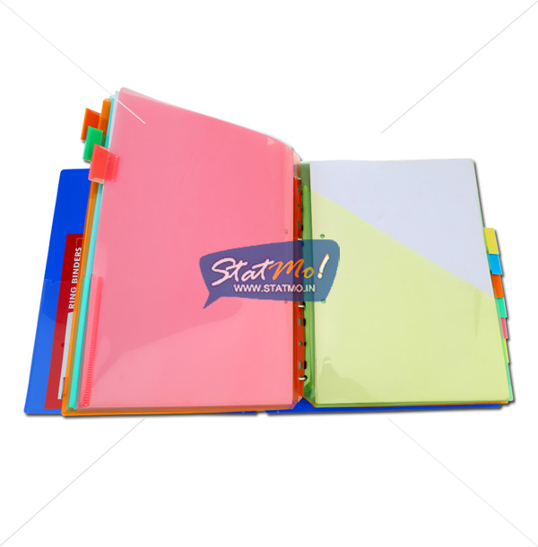 Solo 10 Document Pockets Dividers with Insertable Tabs by StatMo.in