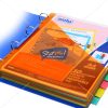 Solo 5 Document Pockets Dividers with Insertable Tabs by StatMo.in