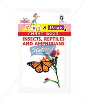 Cut and Paste Insects Reptiles and Amphibians Picture Booklet by StatMo.in