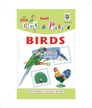 Cut and Paste Birds Picture Booklet by StatMo.in