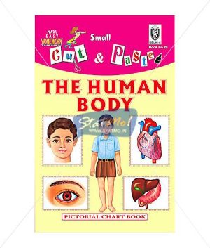 Cut and Paste The Human Body Picture Booklet by StatMo.in