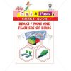 Cut and Paste Beaks / Paws and Feathers of Birds Picture Booklet by StatMo.in