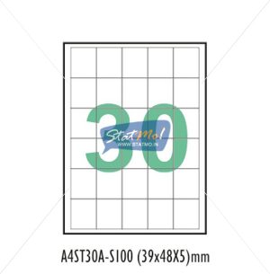 Desmat SA White A4û 30 Labels-Data 39x 48x 5 by StatMo.in