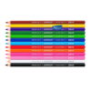 Doms Colour Pencil 12 Shades Flat Tin Pack by StatMo.in