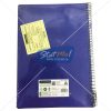 Classmate Selfie Pulse 6 Sub Spiral Notebook 300 Pages by StatMo.in