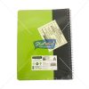 Classmate Pulse Spiral Notebook 300 Pages Unruled by StatMo.in