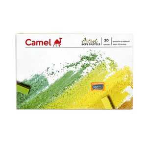 Camlin Artist Soft Pastels 20 Shades by StatMo.in