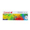 Camel Premium Poster Colours 12 Shades 10Ml by StatMo.in