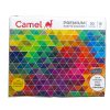 Camel Premium Poster Colours 20 Shades 15Ml by StatMo.in