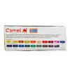 Camel Premium Poster Colours 20 Shades 15Ml by StatMo.in