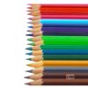 Camlin Colour Pencils Full Size 24 Shades by StatMo.in