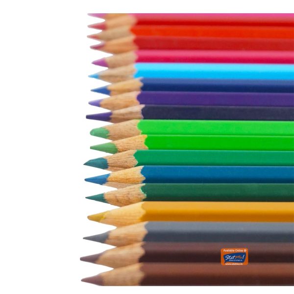 Camlin Colour Pencils Full Size 24 Shades by StatMo.in