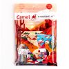 Camel Painting Kit by StatMo.in